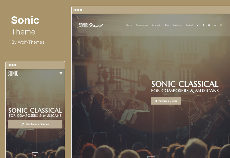 Sonic Theme - Thème WordPress réactif pour l'industrie de la musique