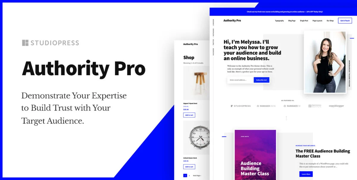 I 10 temi WordPress più popolari e migliori nel 2023 74 Authority Pro