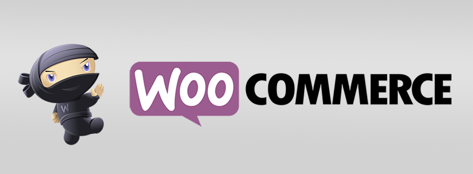 Plugin WordPress più utilizzati nel 2023 (aggiornato) 73 WooCommerce
