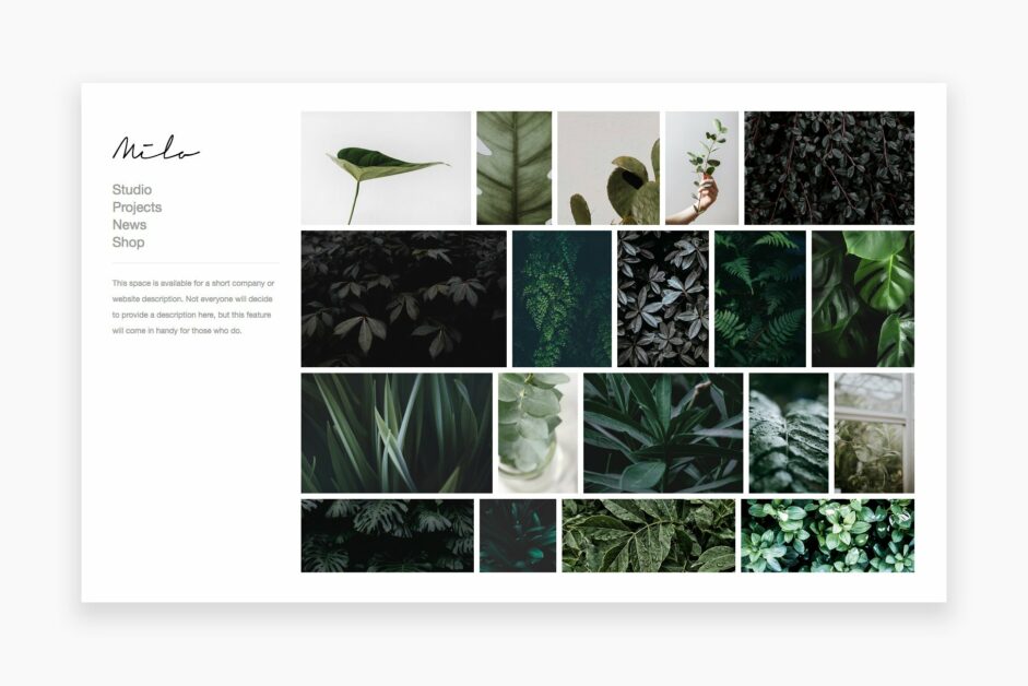 シンプルな WordPress テーマ - 2023 年のベスト 79 milo theme