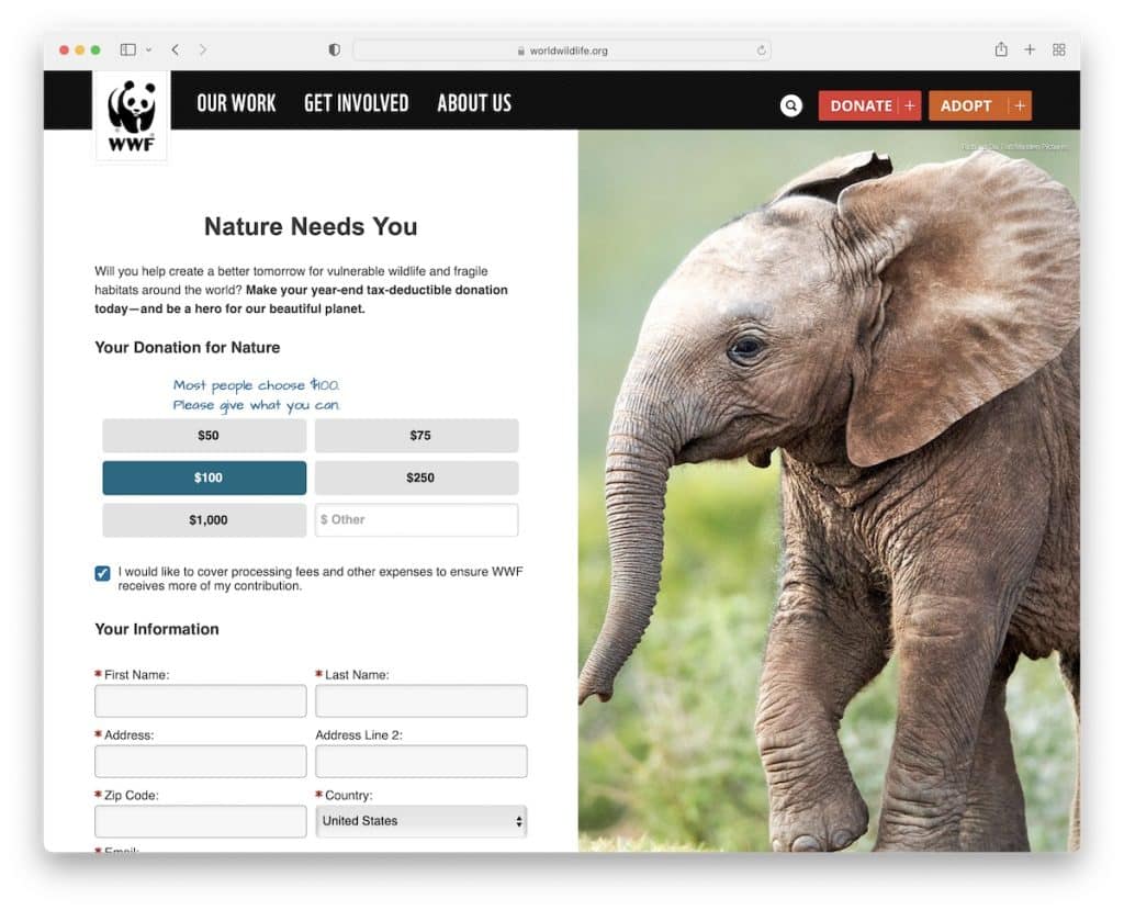 site sem fins lucrativos world wild life