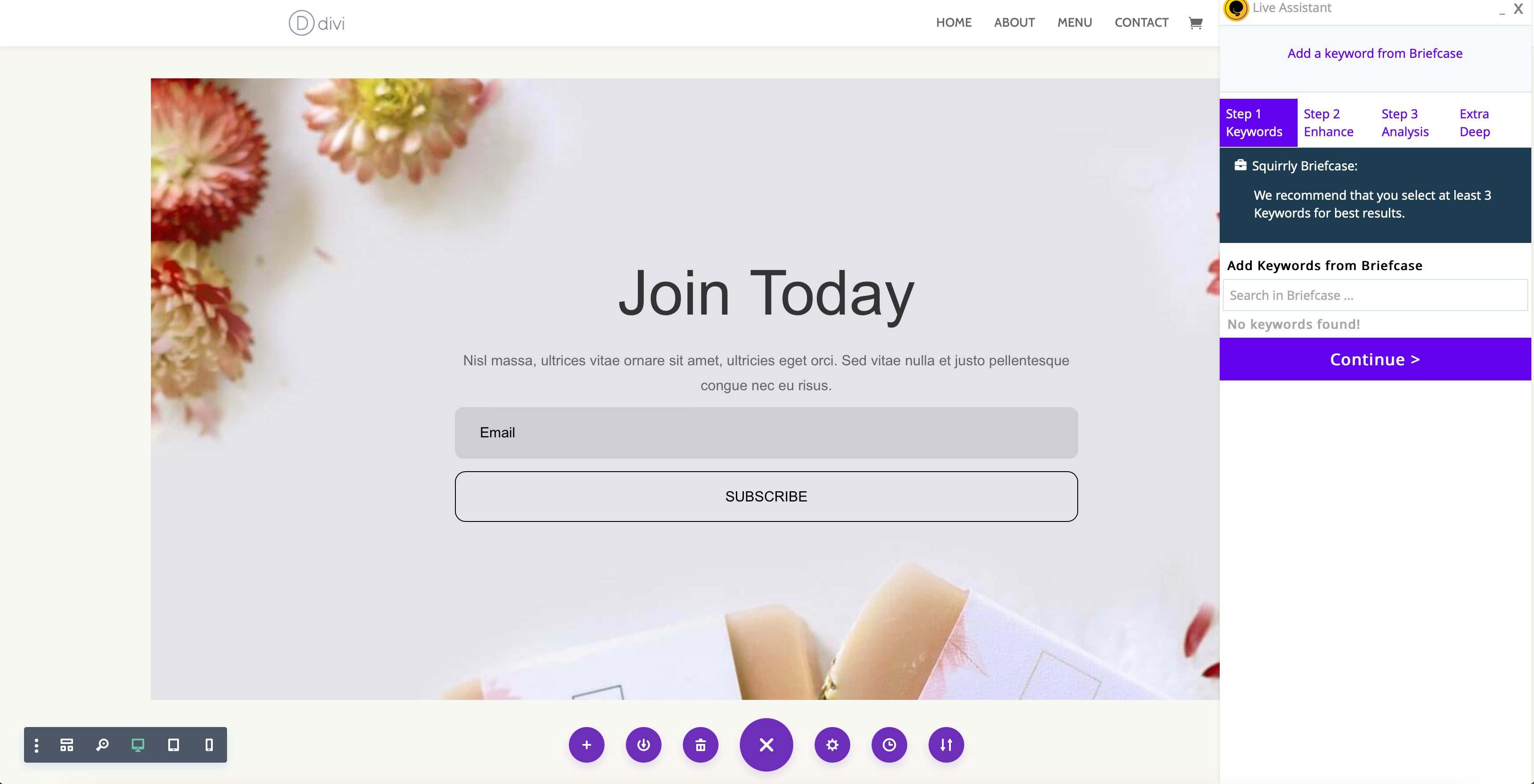 Integração Squirrly SEO Divi