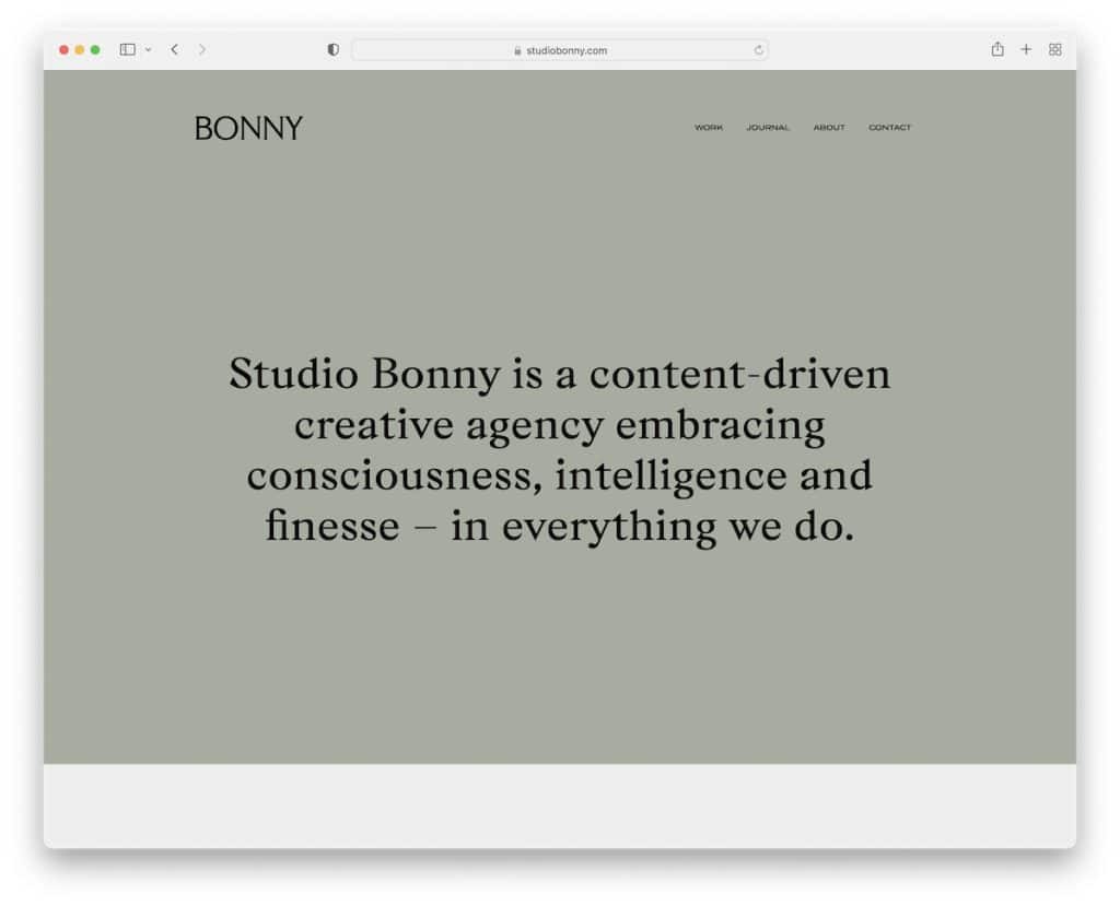 bonny witryna dla małych firm