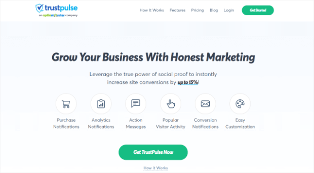 halaman utama trustpulse