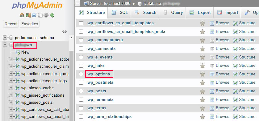 Seleziona wp_options Tabella dal database