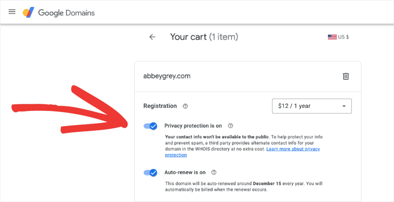 google 域隐私保护 - IsItWP - 免费 WordPress 主题检测器 Google Domains privacy protection