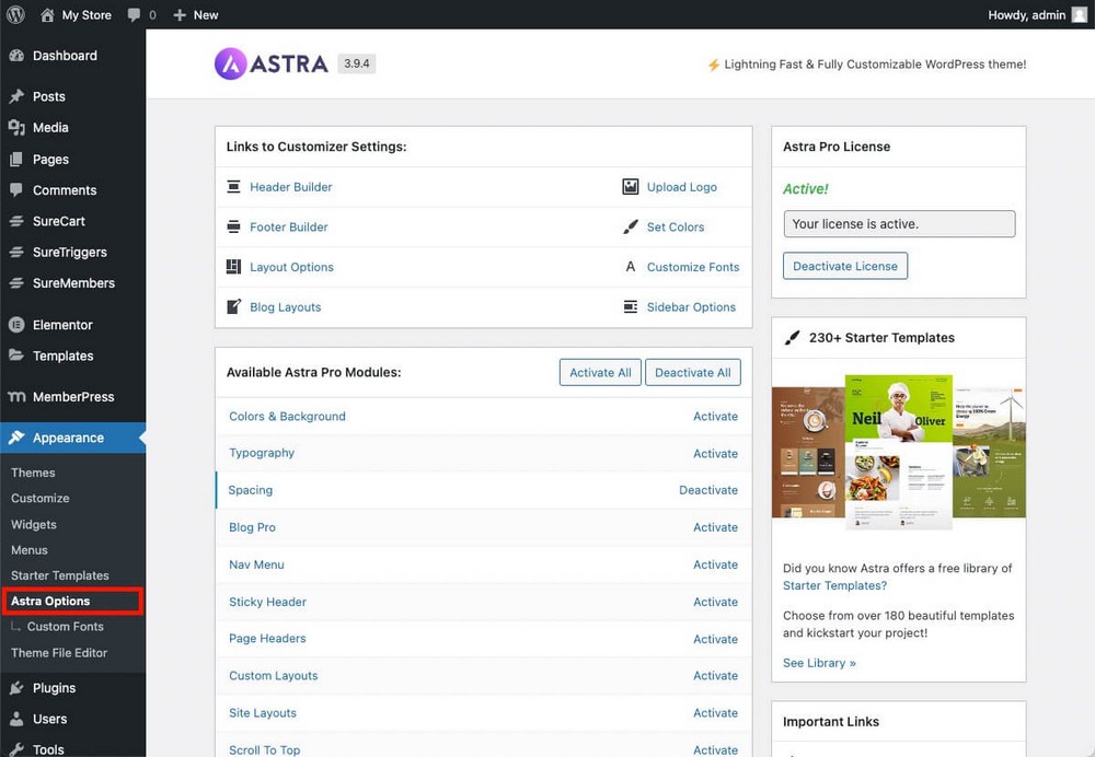 Altes Astra-Dashboard