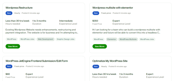 加班工作示例 Upwork job example
