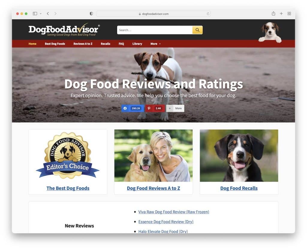 Affiliate-Website für Hundefutterberater