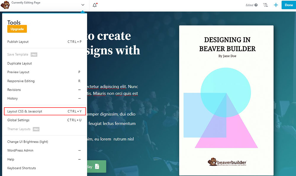 Opțiune de aspect CSS Beaver Builder