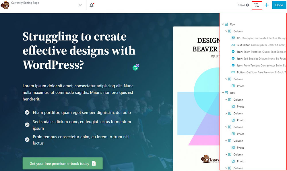 Structura paginii Beaver Builder