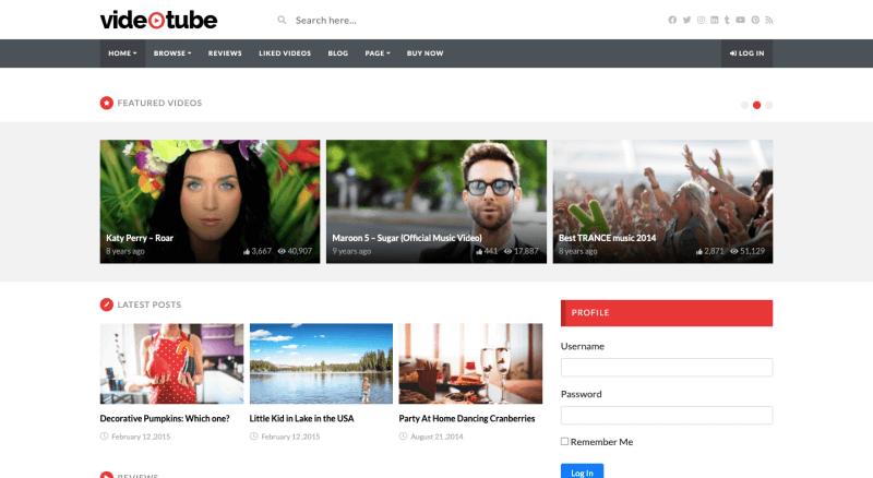 VideoTube-WordPress-ธีม