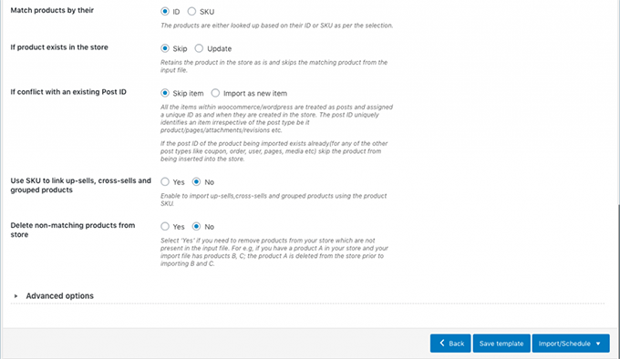 Importoptionen Import options