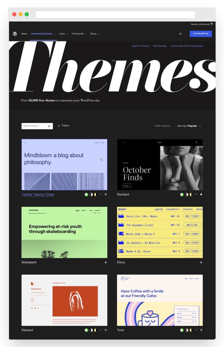 design nou director de teme
