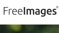Die 11 besten Orte, um kostenlose Bilder für WordPress im Jahr 2023 zu finden 11 FreeImages