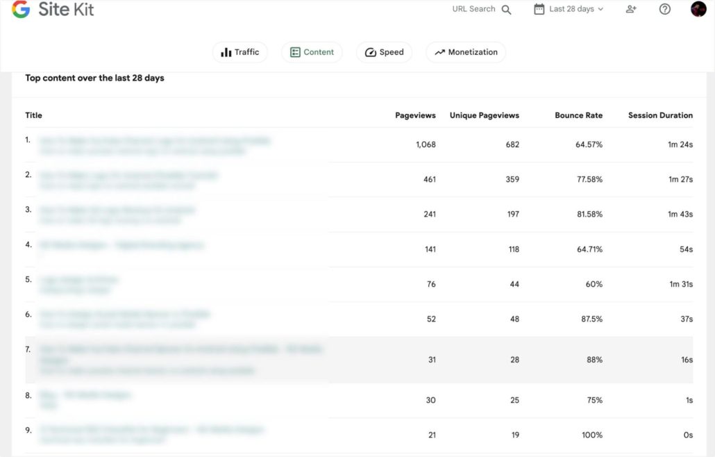 表现最佳的页面 - WordPress 访问者跟踪