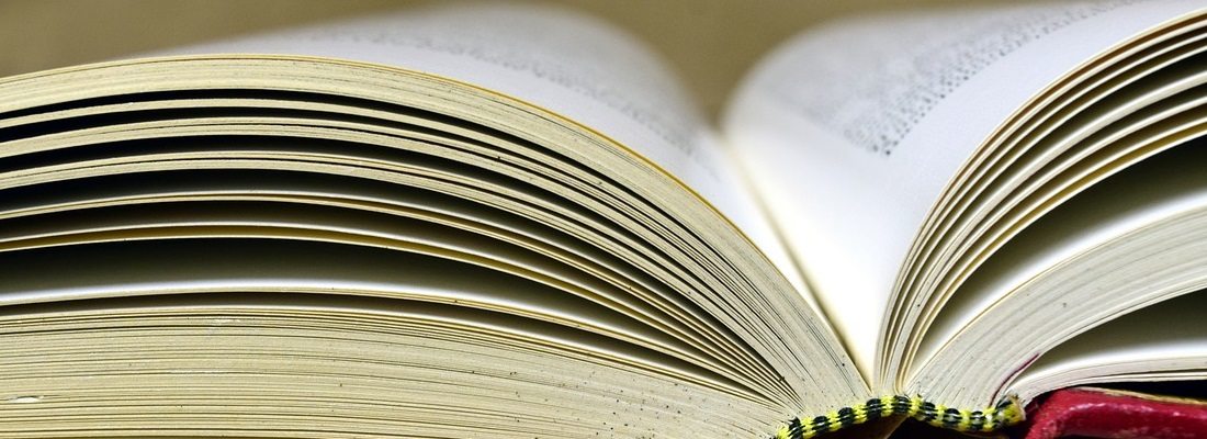 wordpress sayfalandırma ekleme