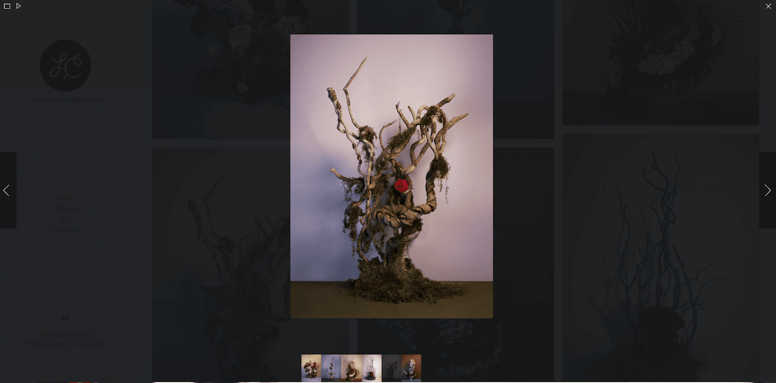 รูปภาพ WordPress Lightbox