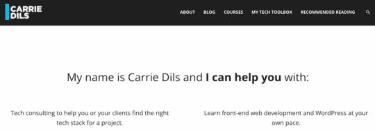 ภาพหน้าจอจากเว็บไซต์ Carrie Dils