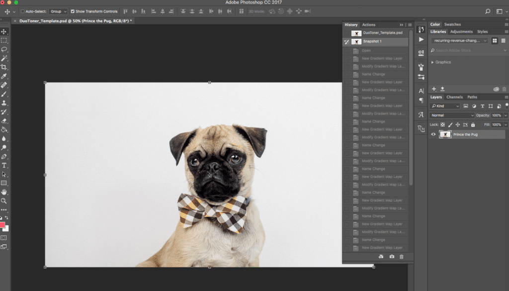 photoshop 雙色調動作快照
