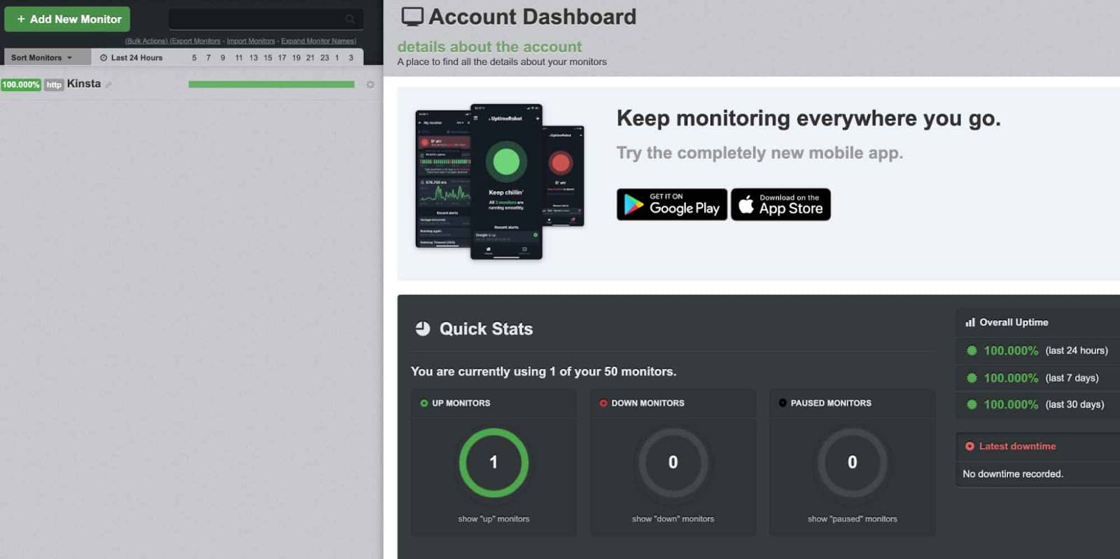 Sito web UpTimeRobot