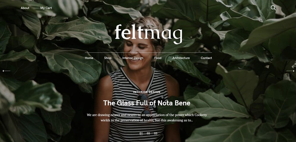 Demo cu tema Felt Magazine