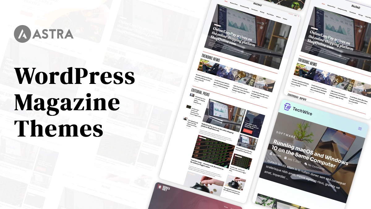 Teme pentru reviste WordPress