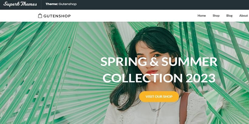 Dark Ecommercely-Best-Amazon-Affiliate-WordPress-主題
