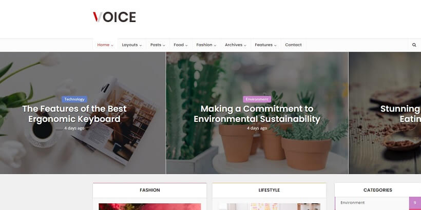 Voice-Best-Amazon-Affiliate-WordPress-主題
