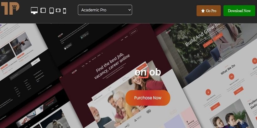 OnJob-Best-Free-Job-Board-WordPress-테마