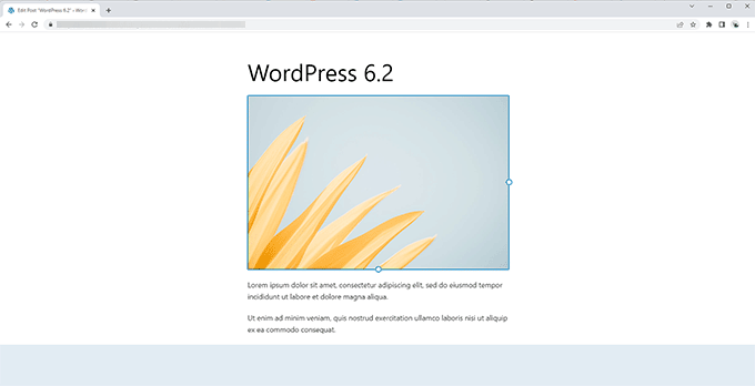 ตัวแก้ไขที่ปราศจากสิ่งรบกวนใน WordPress 6.2 Distraction free editor in WordPress 6.2