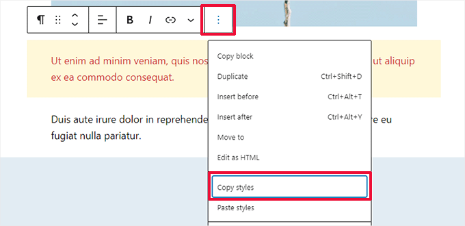 คัดลอกสไตล์ Copy styles