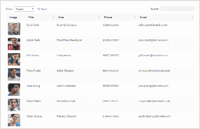 ผู้สร้างตารางไดนามิกในภาพหน้าจอตัวอย่าง wordpress