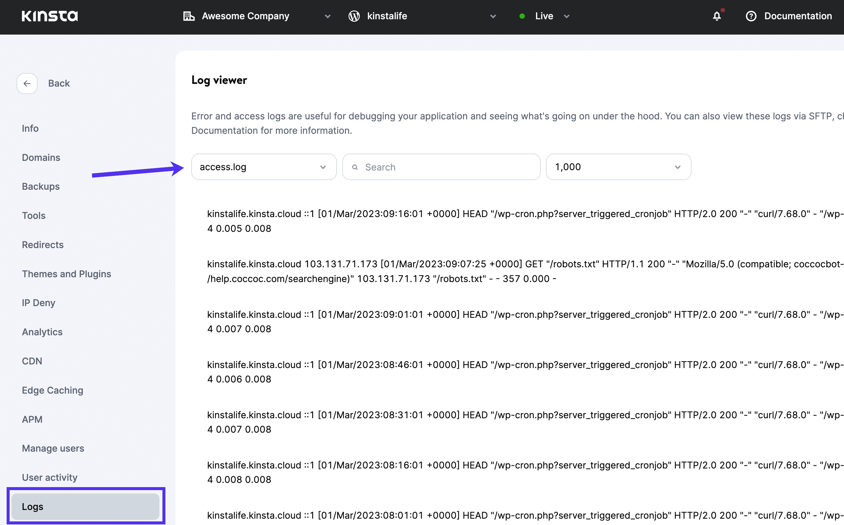 MyKinsta - visualizando arquivos de log
