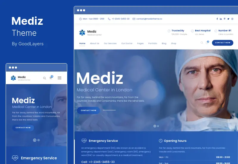 Motyw Mediz - Medyczny motyw WordPress