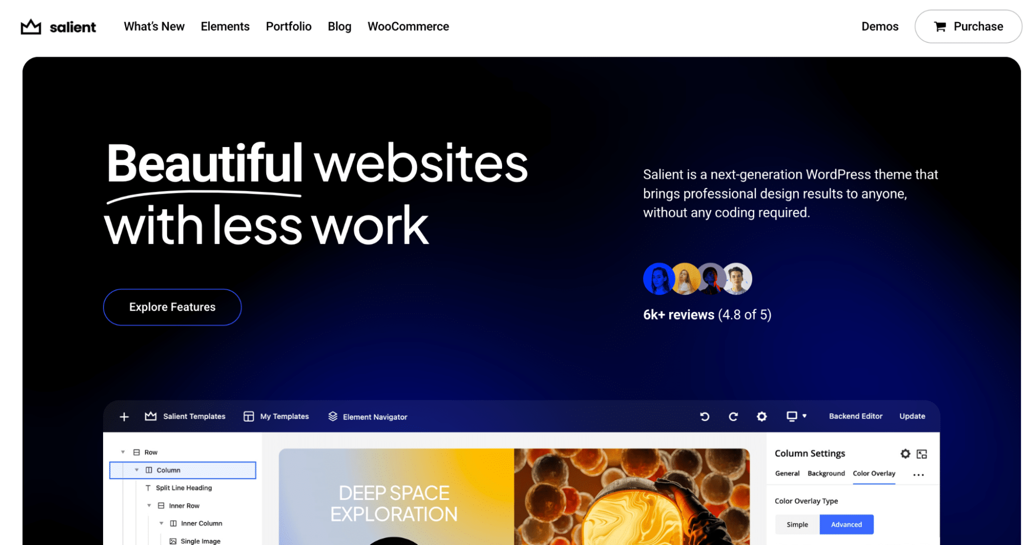 Выдающаяся тема - источник: themenectar.com