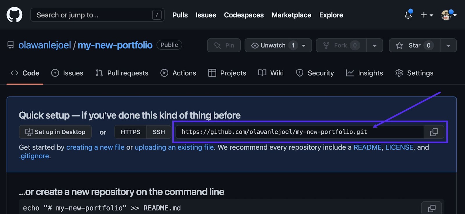访问您的 GitHub 存储库 URL