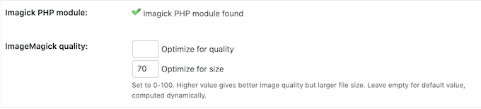 在 WordPress 中自定义图像优化设置 Customizing the image optimization settings in WordPress