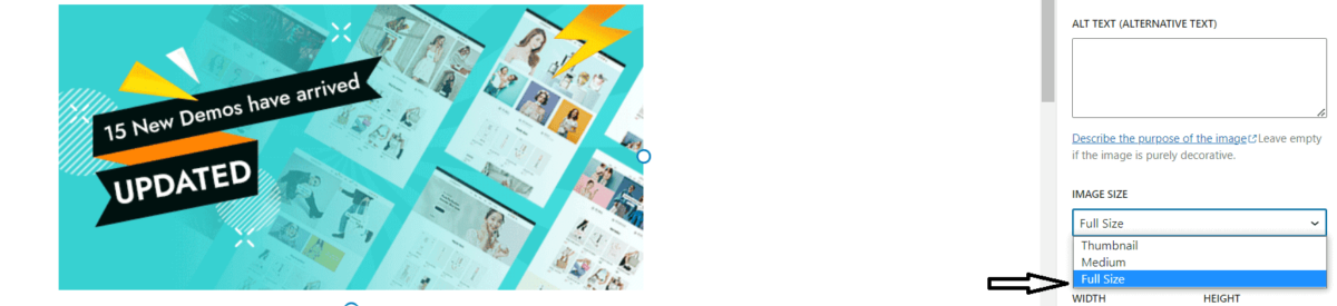 WordPress に GIF を追加する方法 (2023) 81 gif full size option
