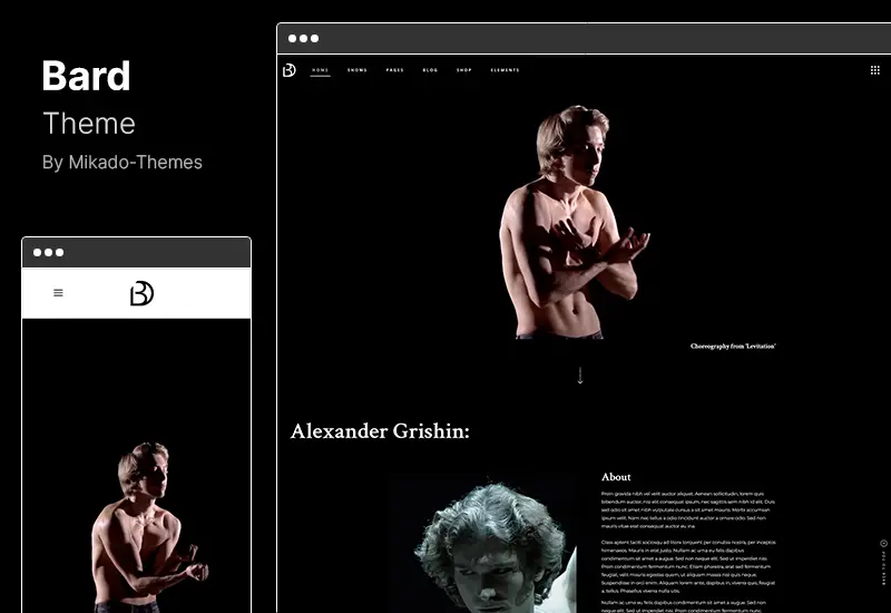 Bard Theme - ธีม WordPress โรงละครและศิลปะการแสดง