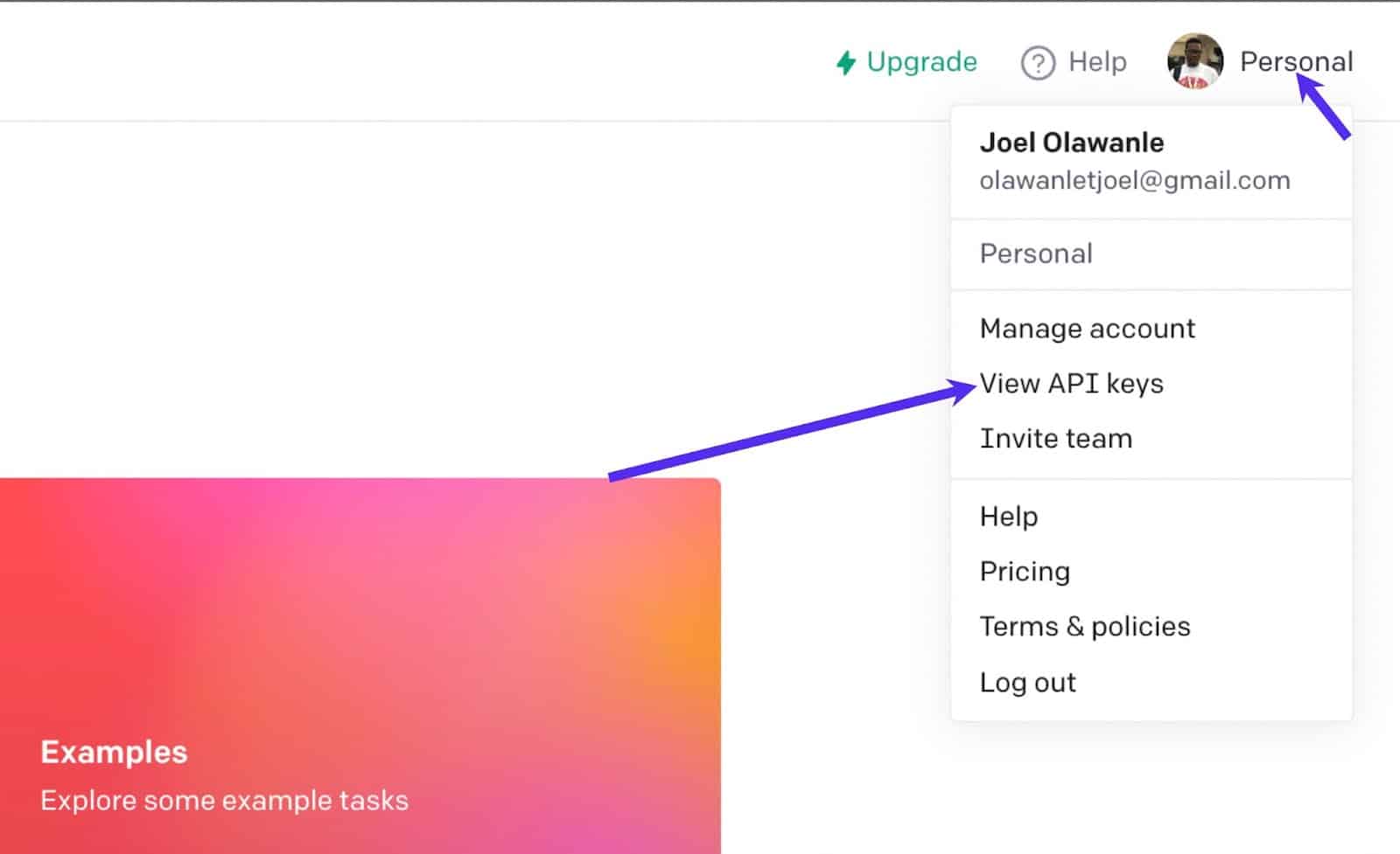 OpenAI API 키에 액세스