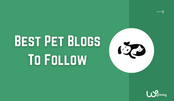 melhores blogs de animais de estimação