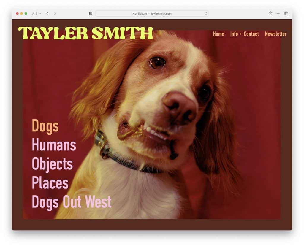 tayler smith squarespace photographie exemple