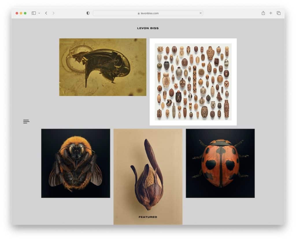 levon biss squarespace 사진 예시