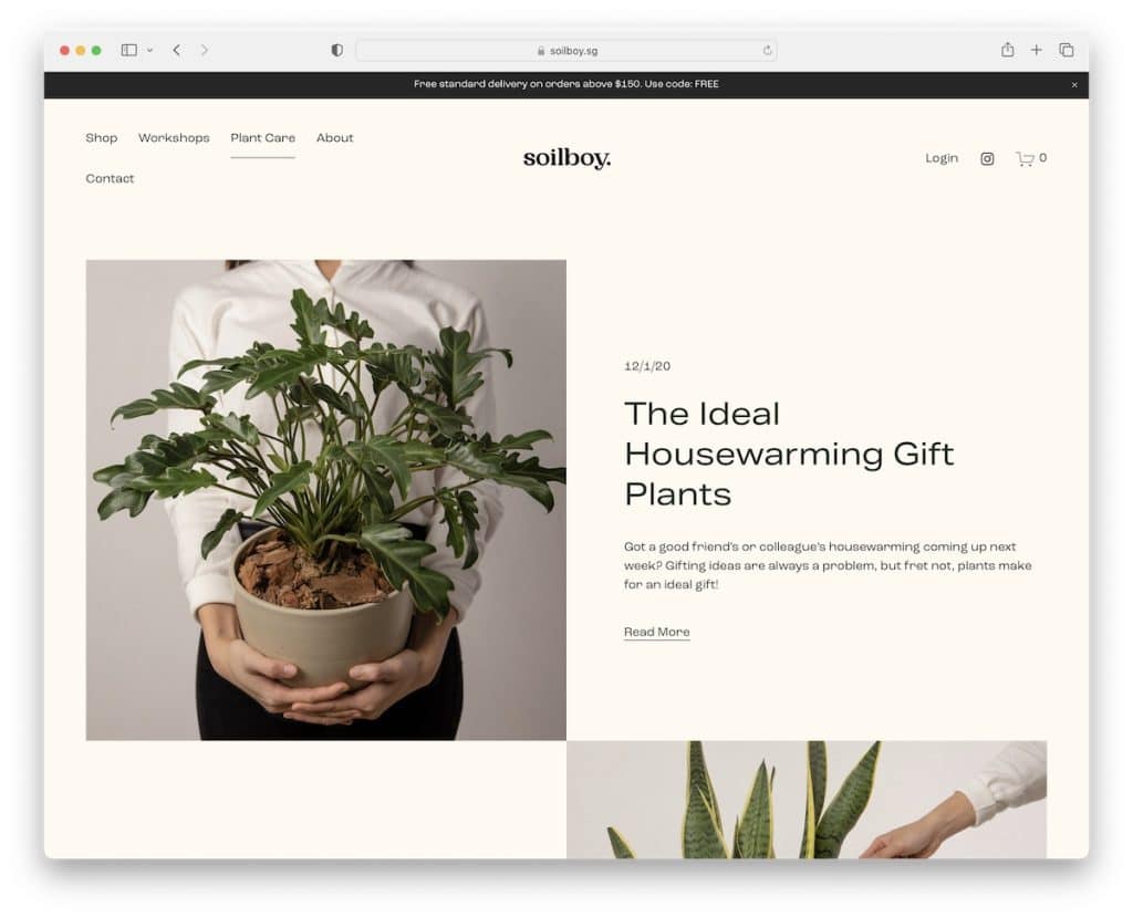 exemple de blogs soilboy squarespace