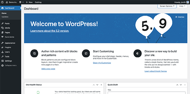 wordpress 仪表板 SeedProd WordPress Dashboard