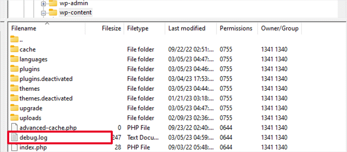 デバッグログ Debug log