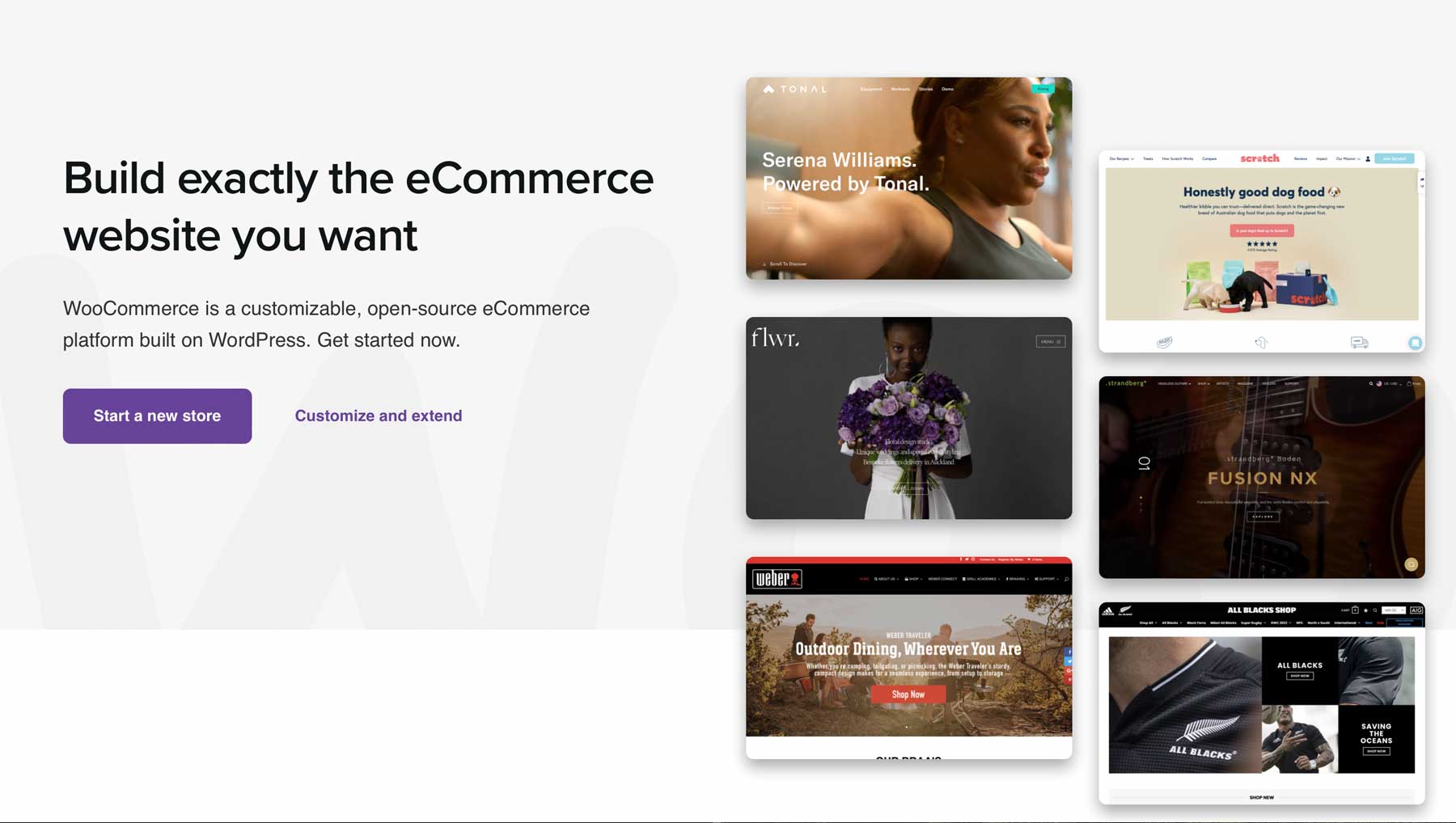 Plugin di e-commerce WooCommerce