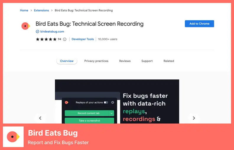 Bird Eats Bug: informe y solucione errores más rápido