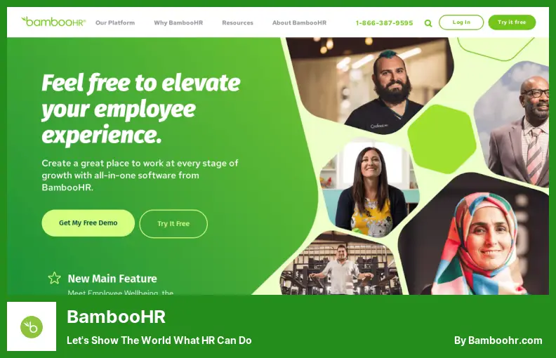BambooHR - Давайте покажем миру, на что способны HR